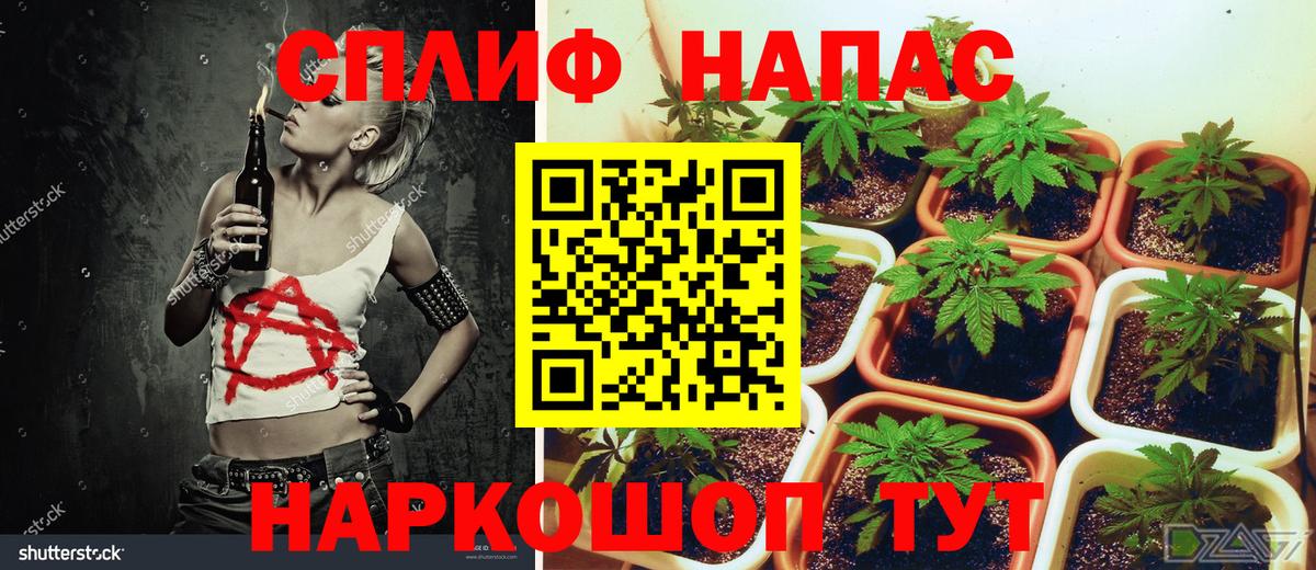 Щёлково  Конопля гибрид  Вход с VPN  Каннабис Amnesia 
